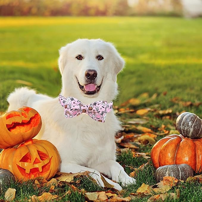 Lionheart glory Halloween Dog Collars Fall Dog Collar Pink Bowtie Girl Boy Pet Collar Dogs Pumpkin Collar Bows Duty Adjustable Dog Bow Collars for Large Dogs