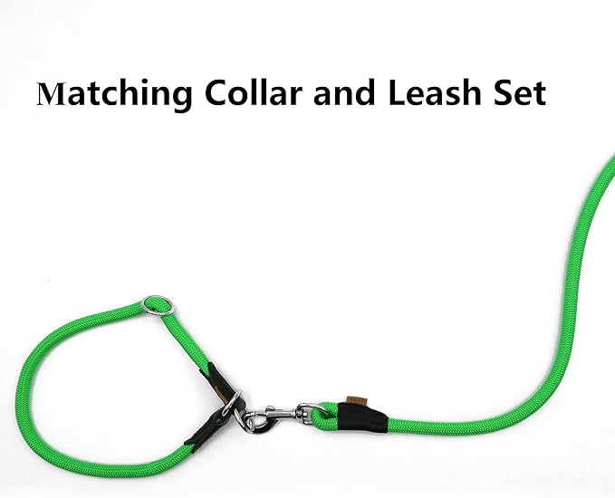 Dog Leash ((1/3") - 6FT, Light