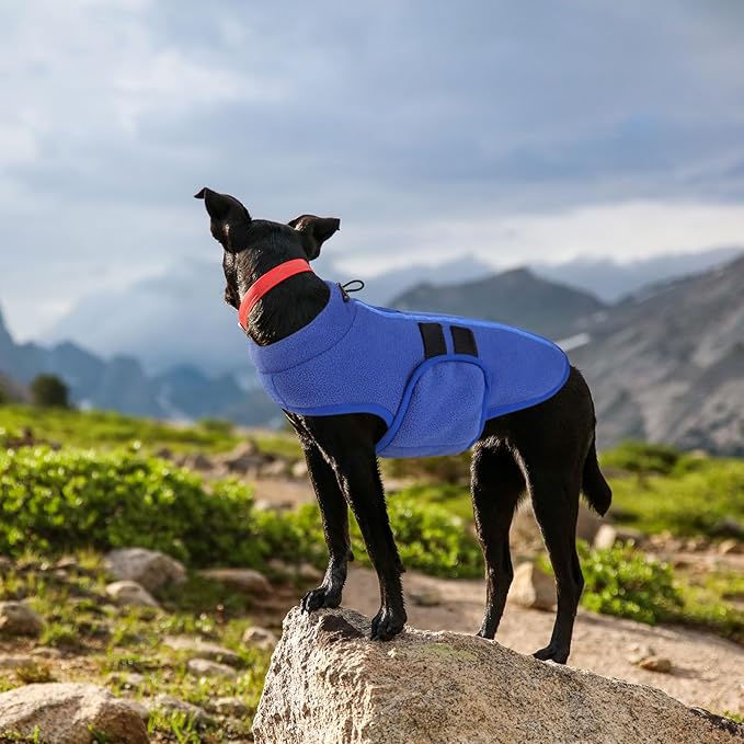 Queenmore Small Dog Sweater