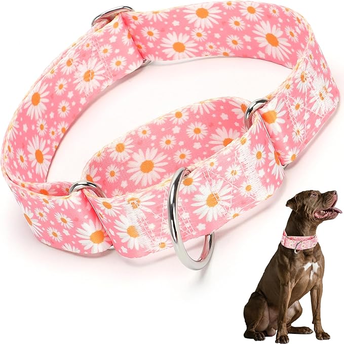 Martingale Collar 1.5 Inches Wide Girl Dog Collar