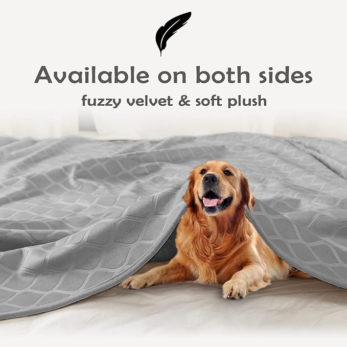 fuguitex Waterproof Dog Blanket Bed Cover Dog Crystal Velvet Moroccan Fuzzy Cozy Plush Pet Blanket Throw Blanket for Couch Sofa(82 * 102 inch
