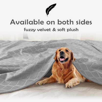 fuguitex Waterproof Dog Blanket Bed Cover Dog Crystal Velvet Moroccan Fuzzy Cozy Plush Pet Blanket Throw Blanket for Couch Sofa(30 * 70 inch