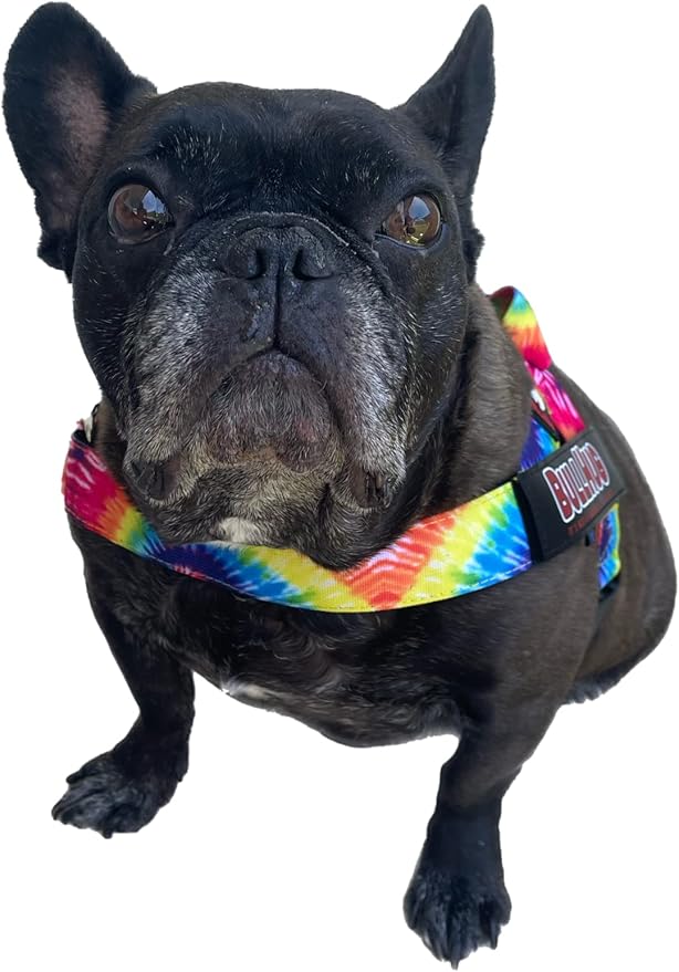 BULLHUG Harness – Made for Larger Chested Dogs Like English Bulldogs