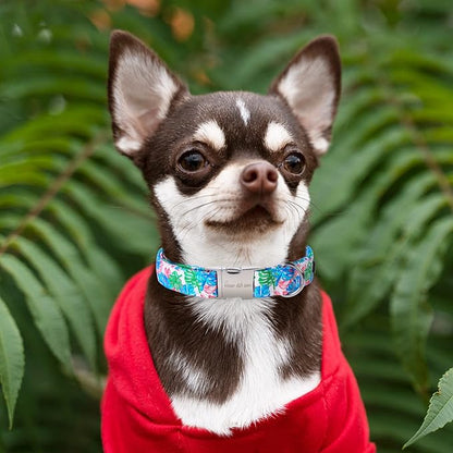 Unique style paws Dog Collar Metal Buckle Collar