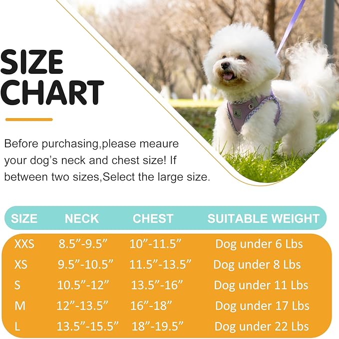 Dog Harness and Leash Set, No Pull Pet Harness for Small Dogs Easy Walking,Soft Breathable Small Dog Harness,Adjustable Reflective Step in Vest Harness for Puppy,Kitten, Cats