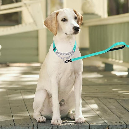 Martingale Dog Collar with Stainless Steel Chain and Leash Set 5FT Double
