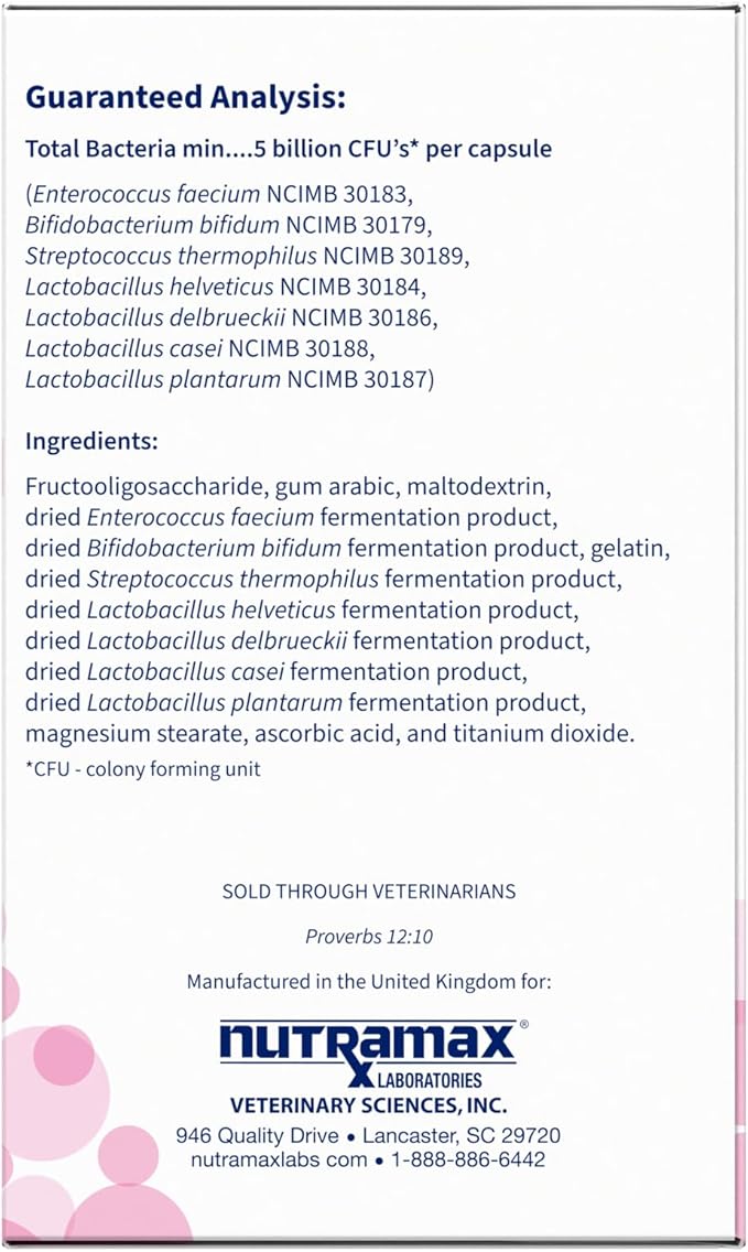 Nutramax Proviable Digestive Health Supplement Multi-Strain Probiotics and Prebiotics for Cats and Dogs - with 7 Strains of Bacteria, 80 Capsules, blue