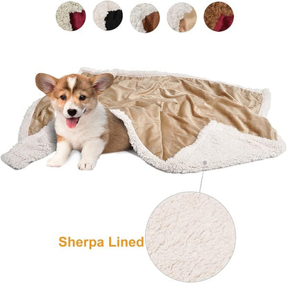 Puppy Blanket, Super Soft Sherpa Dog Blankets and Throws Cat Fleece Sleeping Mat for Pet Small Animals 45x30 Latte