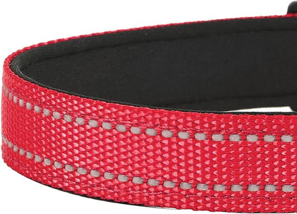 Reflective Dog Collar