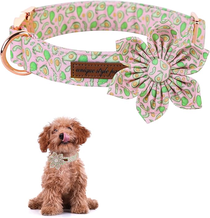 Unique style paws Dog Collar with Flower Tie