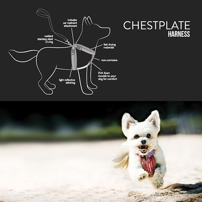 EzyDog Premium Chest Plate Custom Fit Reflective No-Pull Padded Comfort Dog Harness