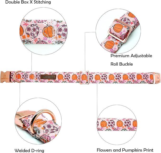 Lionheart glory Dog Collars Fall Halloween Pumpkin Collar