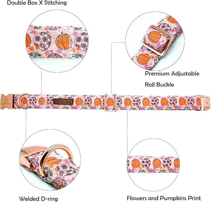 Lionheart glory Dog Collars Fall Halloween Pumpkin Collar