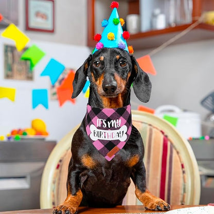 PTDECOR Dog Birthday Party Supplies