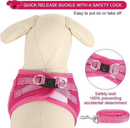 YIMEIS Dog Harness and Leash Set 1)