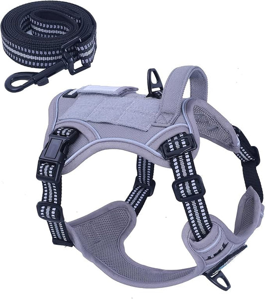 BUMBIN Dog Harness, Tactical Harness for Large Dogs, XS Grey, No Pull with Dog Leash, Adjustable Reflective Pet Walking Vest, MOLLE System, Casual & Style