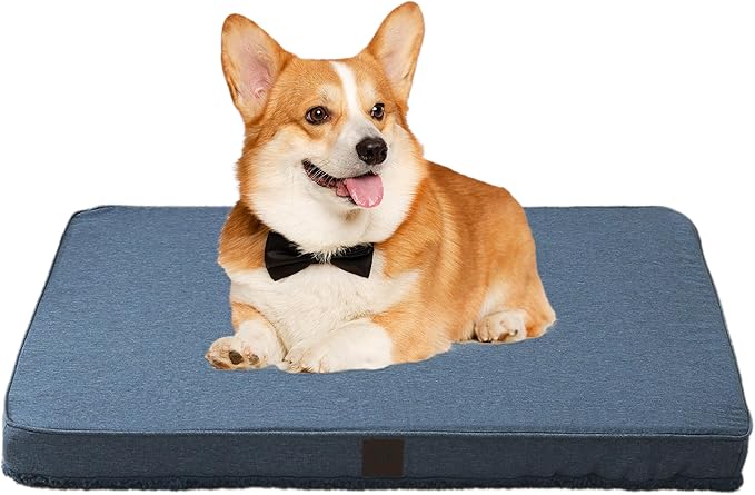 DaysU Dog Bed for Small Dogs 20 lbs, 30x20x3in