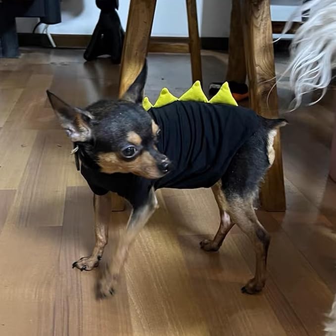 Dinosaur Design Sphynx Hairless Cat Clothes Cute Breathable Summer Cotton Shirts Cat Costume Pet Clothes (4-5 lbs),