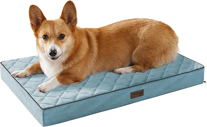 SunStyle Home Orthopedic Dog Beds for Medium Dogs