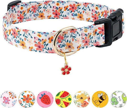Dog Collar