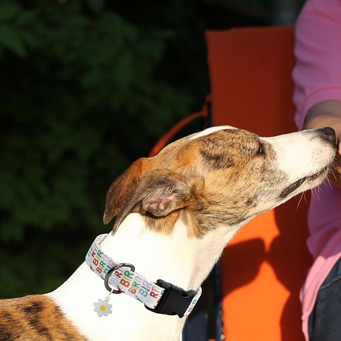 Flower Patterns Dog Collar with Accessories