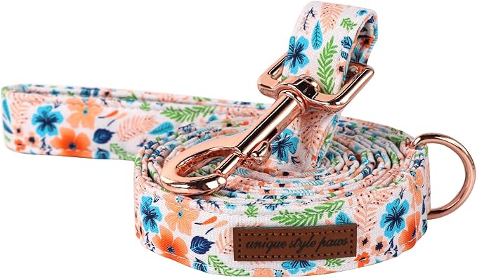 Unique Style Paws Cotton Dog Collar with Bow