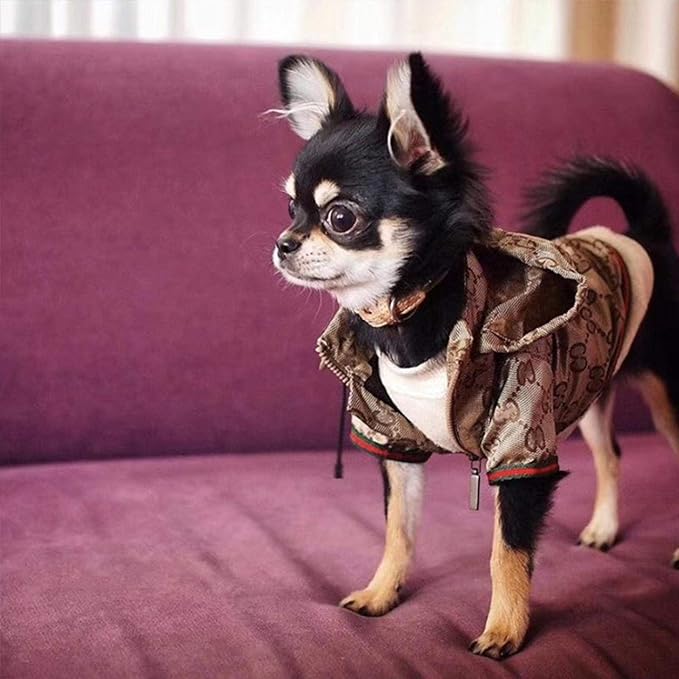 Dog Hoodie Luxury Dog Clothes Winter Dog Jacket
