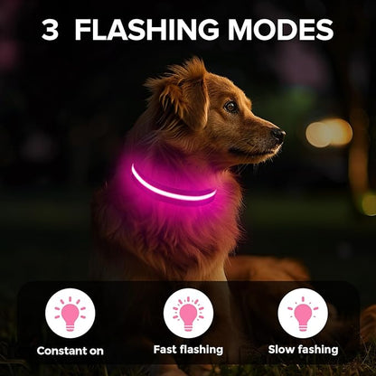 Led Dog Collar for Night Walking