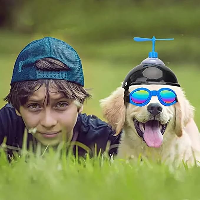 Dog Helmet and Goggles with Cute Propeller Adjustable