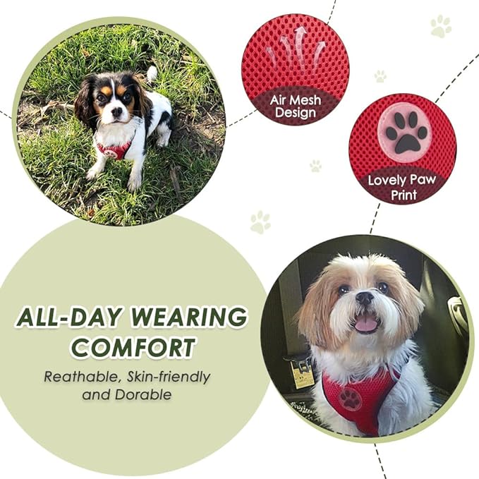 SlowTon Dog Seat Belt Harness for Car, Dog Car Harness Adjustable Mesh Breathable & Dog Seatbelt Safety Tether with Elastic Bungee for Small Medium Large Pets(Red, Double Clip, XS)