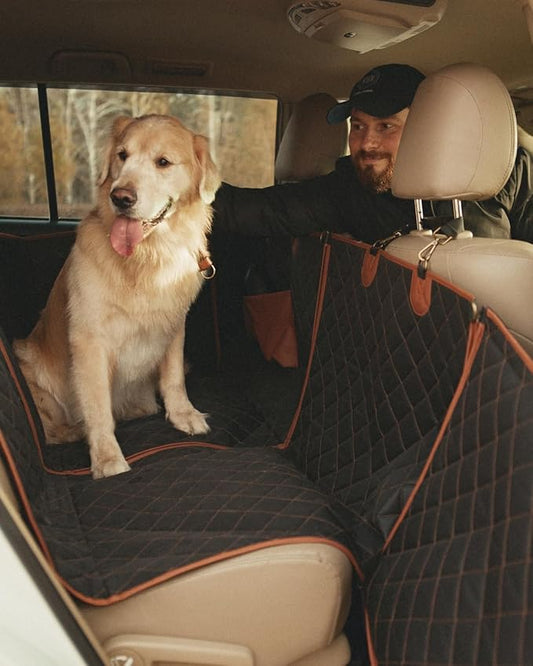 Premium Back Seat Extender for Dogs