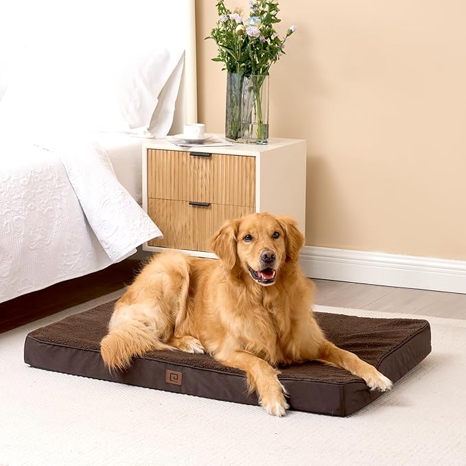 EHEYCIGA Orthopedic XL Dog Beds for Extra Large Dogs with Removable Washable Cover 44x32