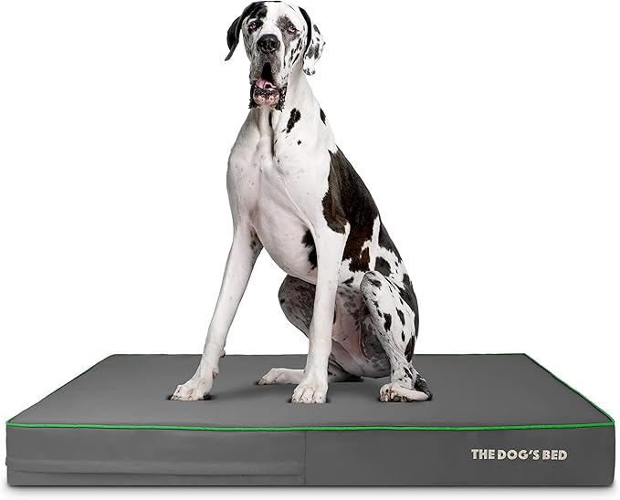 The Dog’s Bed Orthopedic Memory Foam Dog Bed 54x36 Pain