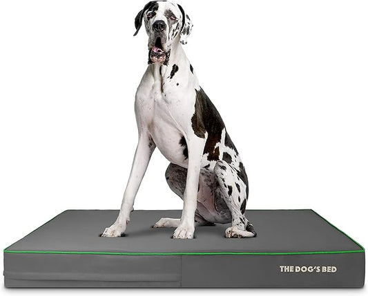 The Dog’s Bed Orthopedic Memory Foam Dog Bed 54x36 Pain