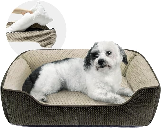 Miguel Medium Small Dog Bed with Washable Removable Cover 25 Inches