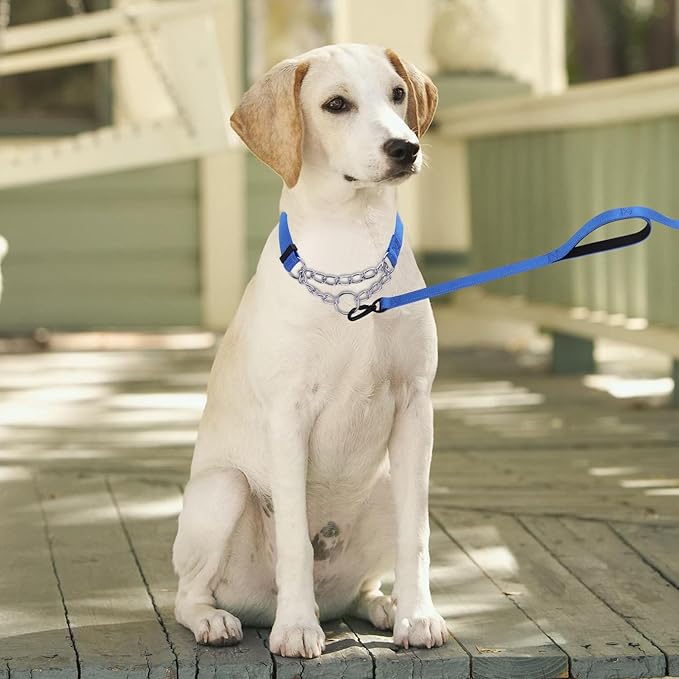 Martingale Dog Collar with Stainless Steel Chain and Leash Set 5FT Double