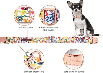 Unique style paws Dog Collar Metal Buckle Collar