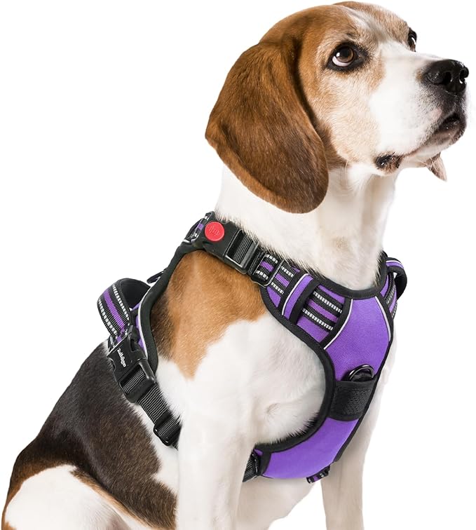 rabbitgoo Dog Harness Medium Sized, No Pull Pet Harness with 3 Buckles, Adjustable Soft Padded Dog Vest with Instant Control Handle, Easy Walking Reflective Pet Vest for Medium Dogs, Purple, M