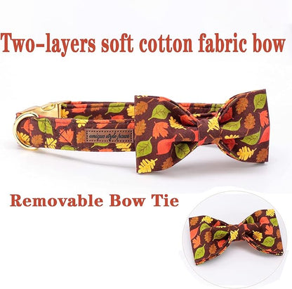 Unique style paws Fall Dog Collar with Bow