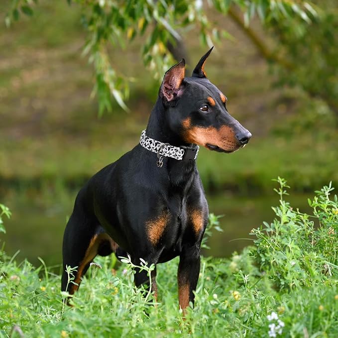 Flower Patterns Dog Collar with Accessories