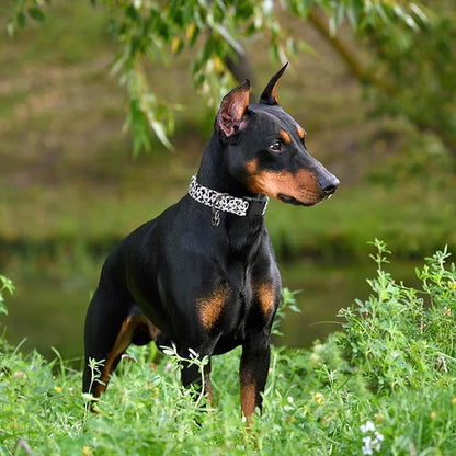 Flower Patterns Dog Collar with Accessories