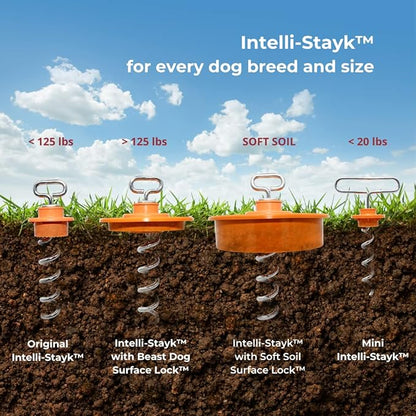 Intelli-Stayk: Tailored for Soft Soils – Specialized Tie