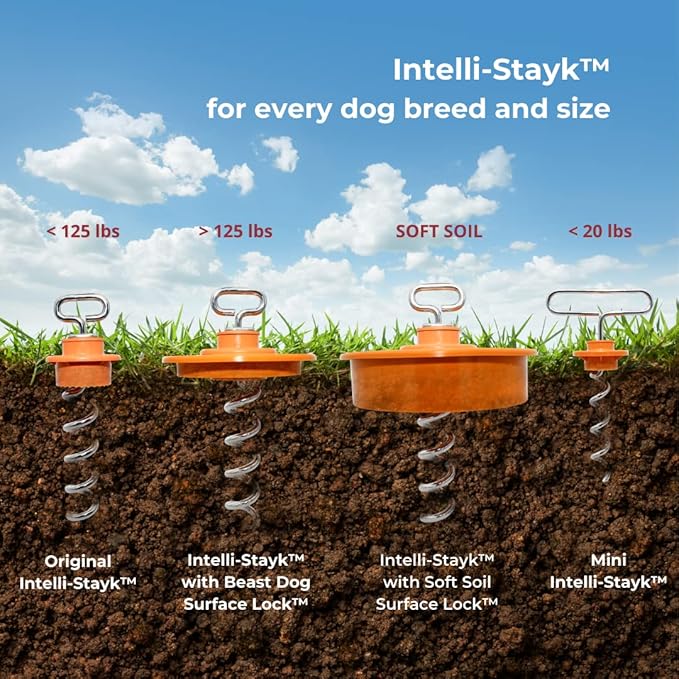 Intelli-Stayk: Beast Dog Surface-Lock Tie-Out Stake for Large