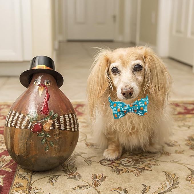 Lionheart glory Thanksgiving Dog Collar, Turkey Dog Bow Collar Adjustable Soft and Comfortable Bowtie Collars for Small Dogs Girl or Boy Pet Gift Fall Collar Dog Bow