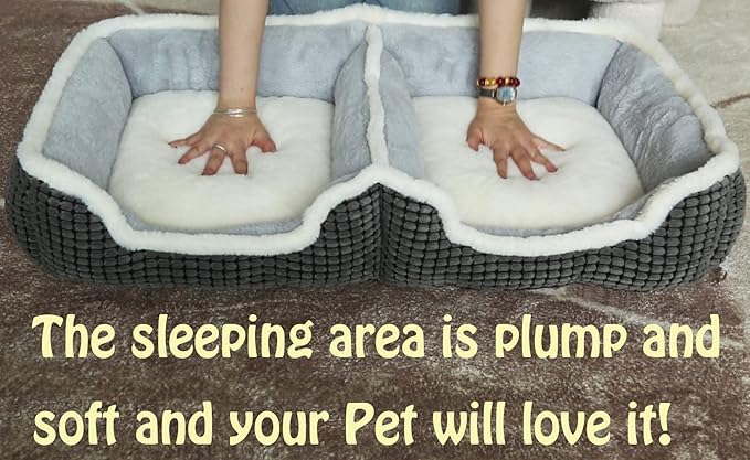 Dog Beds for Two Small Dogs