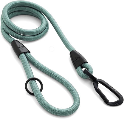 MADE TO ROAM Premium Everyday Leash 4ft (Rubber