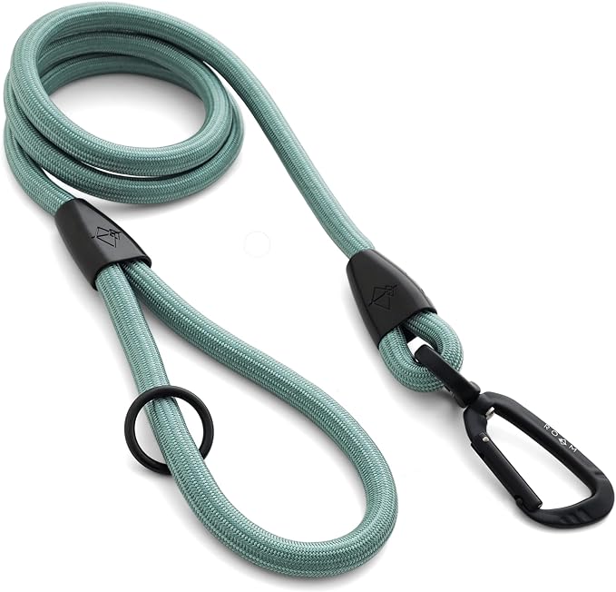 MADE TO ROAM Premium Everyday Leash 6ft (Rubber