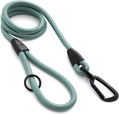 MADE TO ROAM Premium Everyday Leash 6ft (Rubber