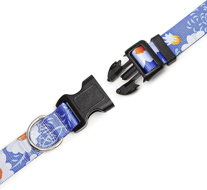 Adjustable Dog Collar with Patterns