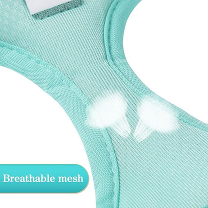 YIMEIS Dog Harness and Leash Set, No Pull Soft Mesh Pet Harness, Reflective Adjustable Puppy Vest for Small Medium Large Dogs, Cats (Tiffany Blue, Small (Pack of 1)